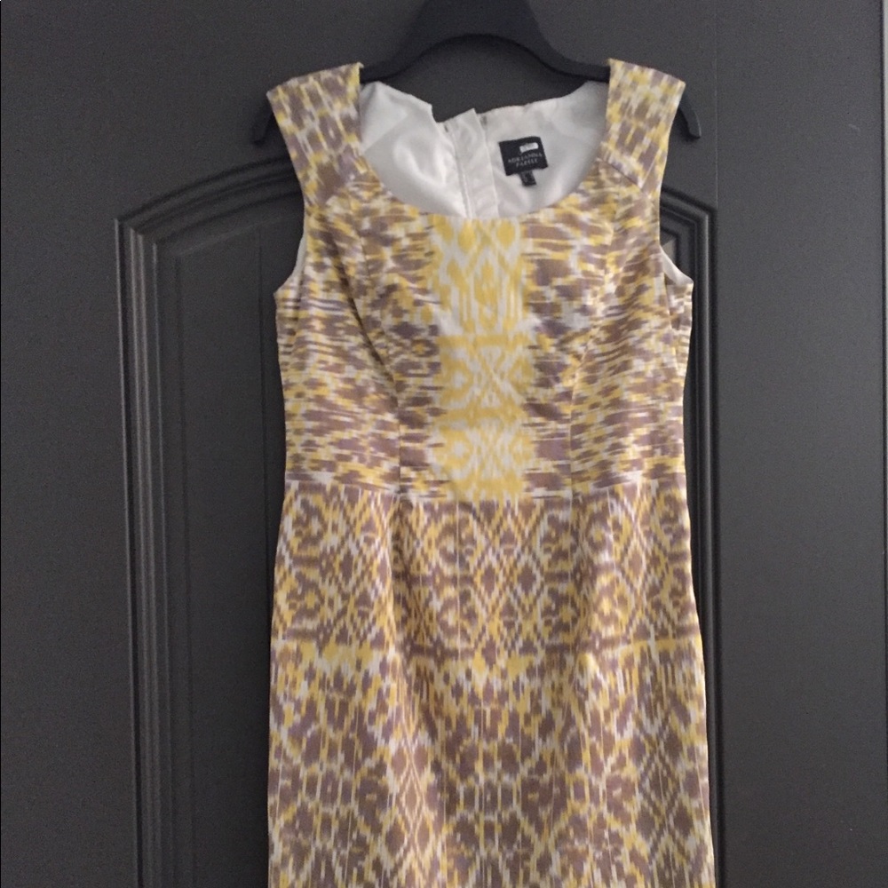 Adrianna Papell day dress